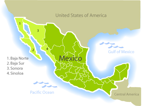 Mexico Limited Territory Insurance